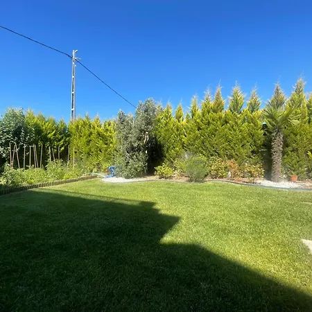 With Forest Views,minutes From The Airport